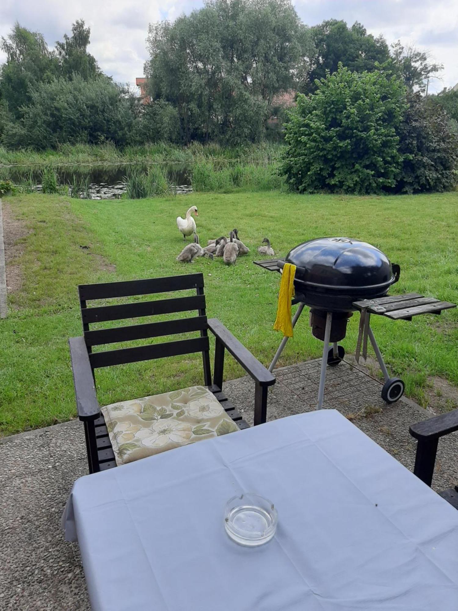 Apartament Nad Woda Marzecino Luaran gambar